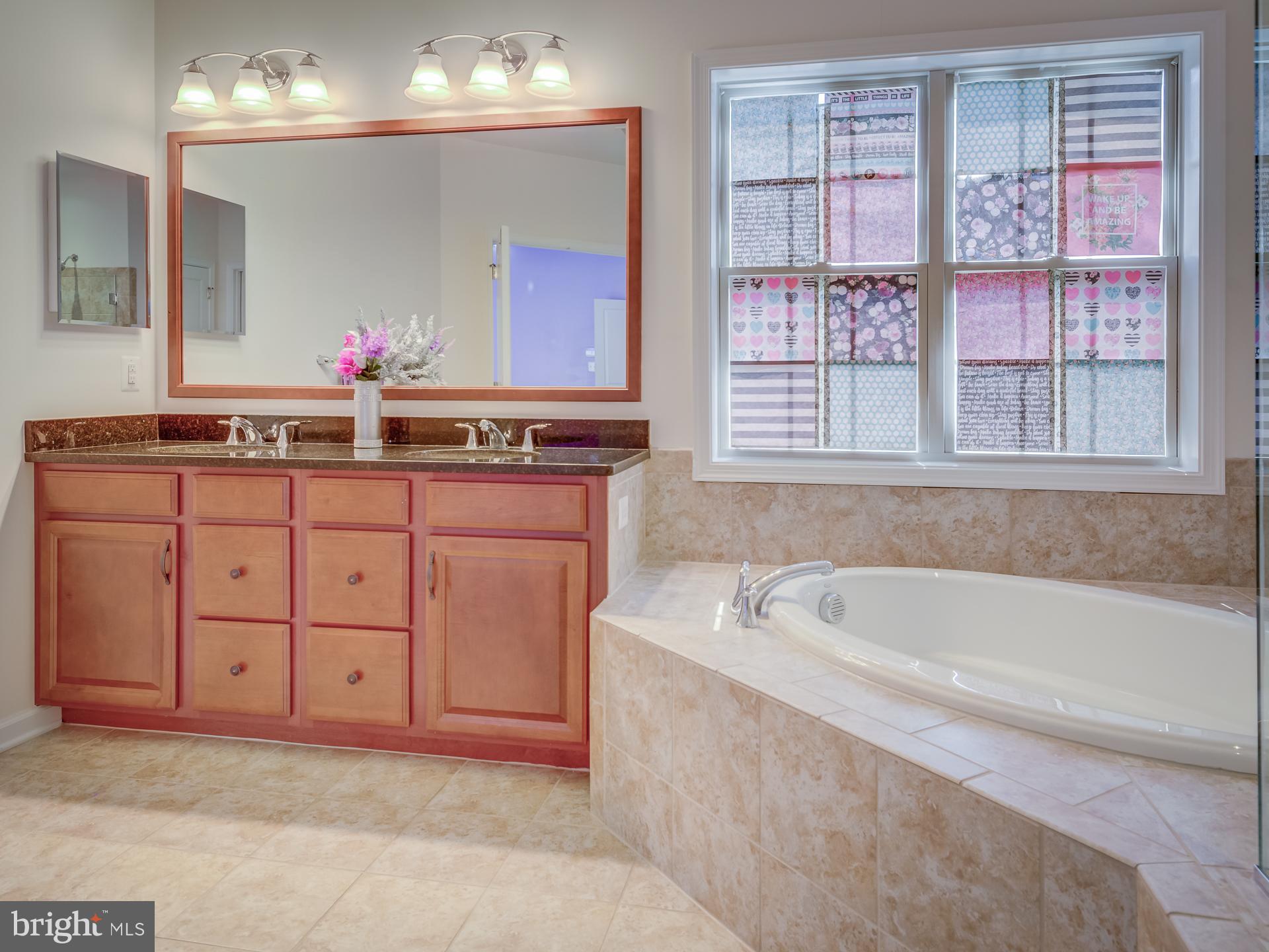 23480 Logans Ridge Terrace Ashburn, VA 20148 - Photo 50 of 66 a spacious bathroom with a tub sink and mirror