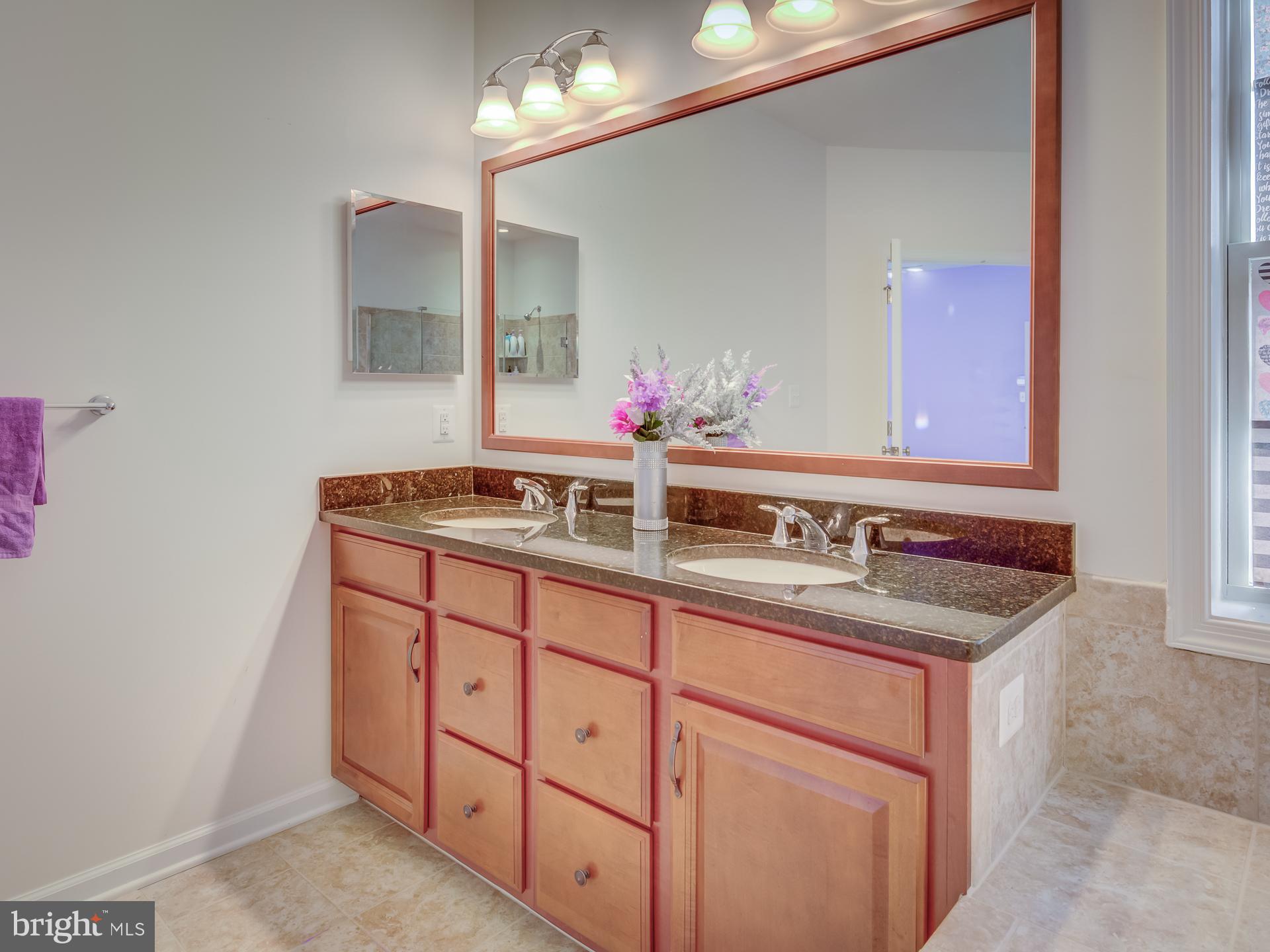 23480 Logans Ridge Terrace Ashburn, VA 20148 - Photo 51 of 66 a bathroom with a granite countertop sink and a mirror