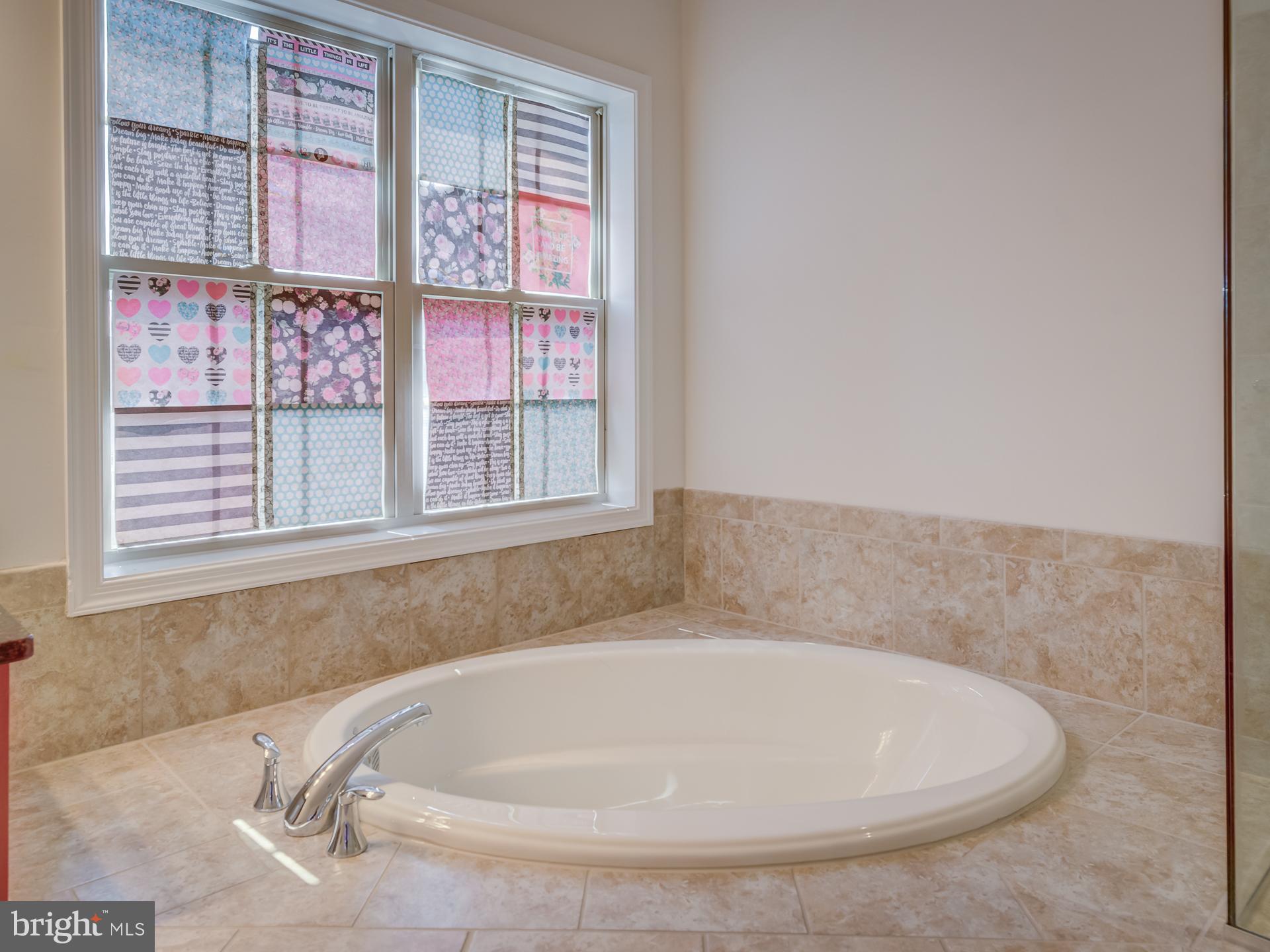 23480 Logans Ridge Terrace Ashburn, VA 20148 - Photo 52 of 66 a bathroom with bathtub and window