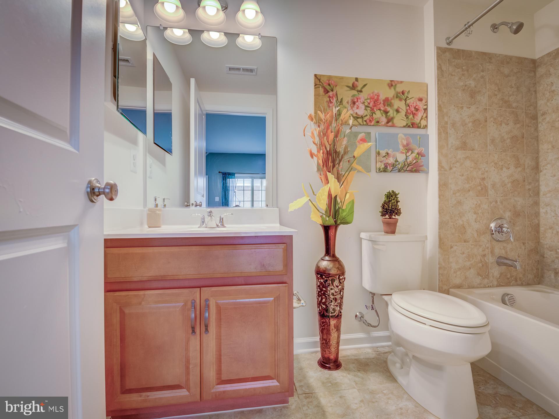 23480 Logans Ridge Terrace Ashburn, VA 20148 - Photo 60 of 66 a bathroom with a sink vanity mirror and toilet