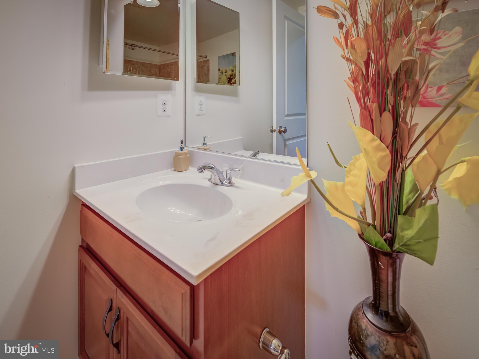 23480 Logans Ridge Terrace Ashburn, VA 20148 - Photo 61 of 66 a bathroom with a sink and a mirror