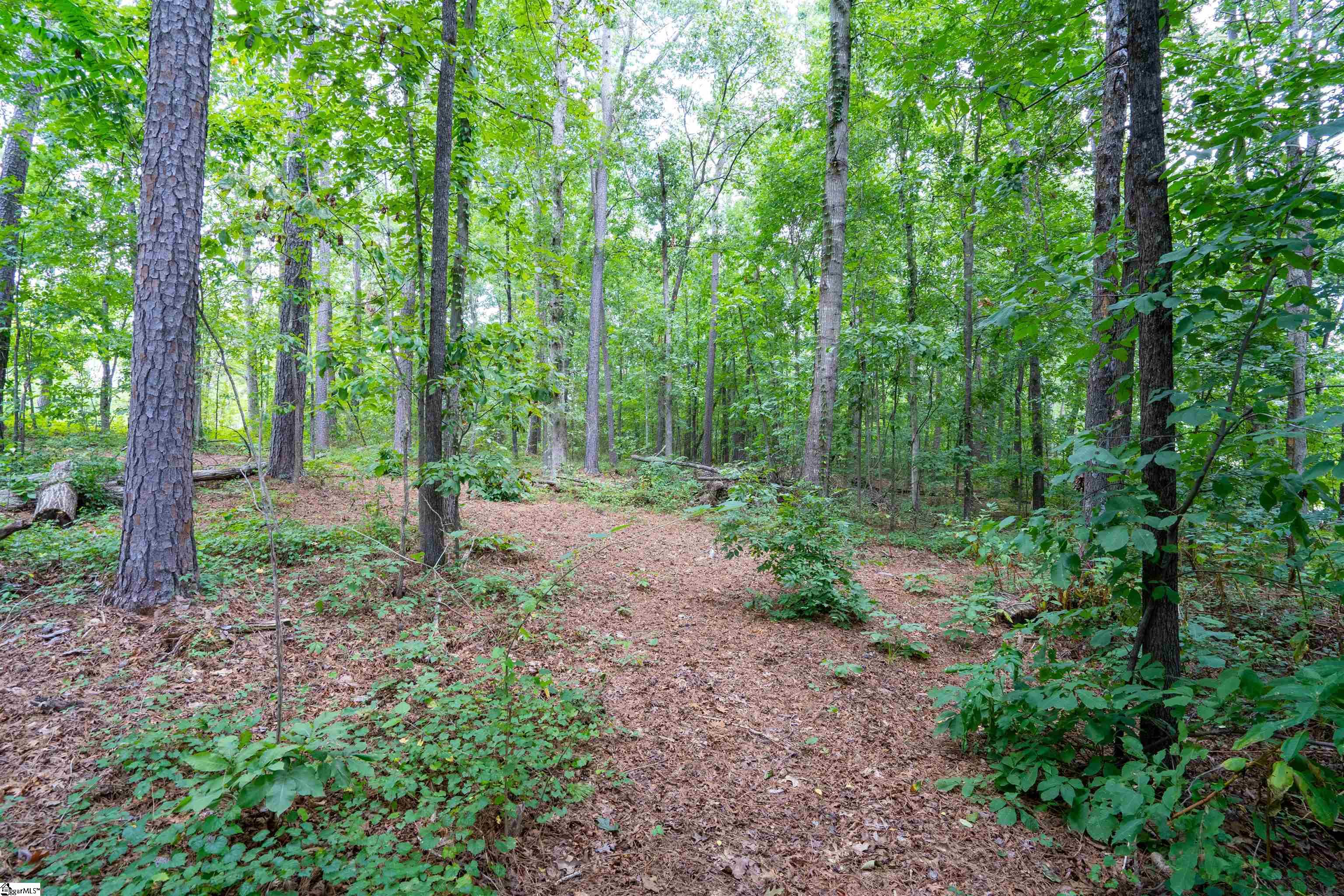 203 Rackley Lane Easley, SC 29642 - Photo 35 of 36 Gallery Image 35
