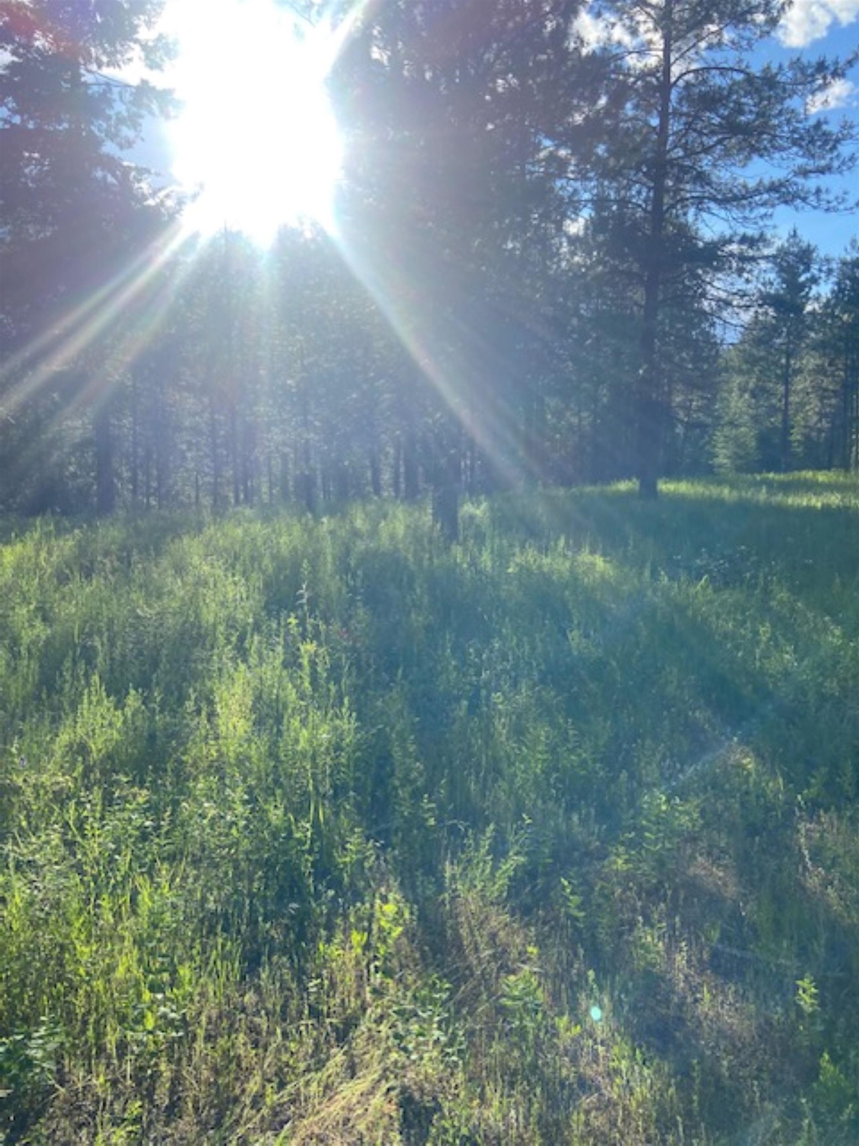 36419 North Findley Road Deer Park, WA 99006 - Photo 11 of 19