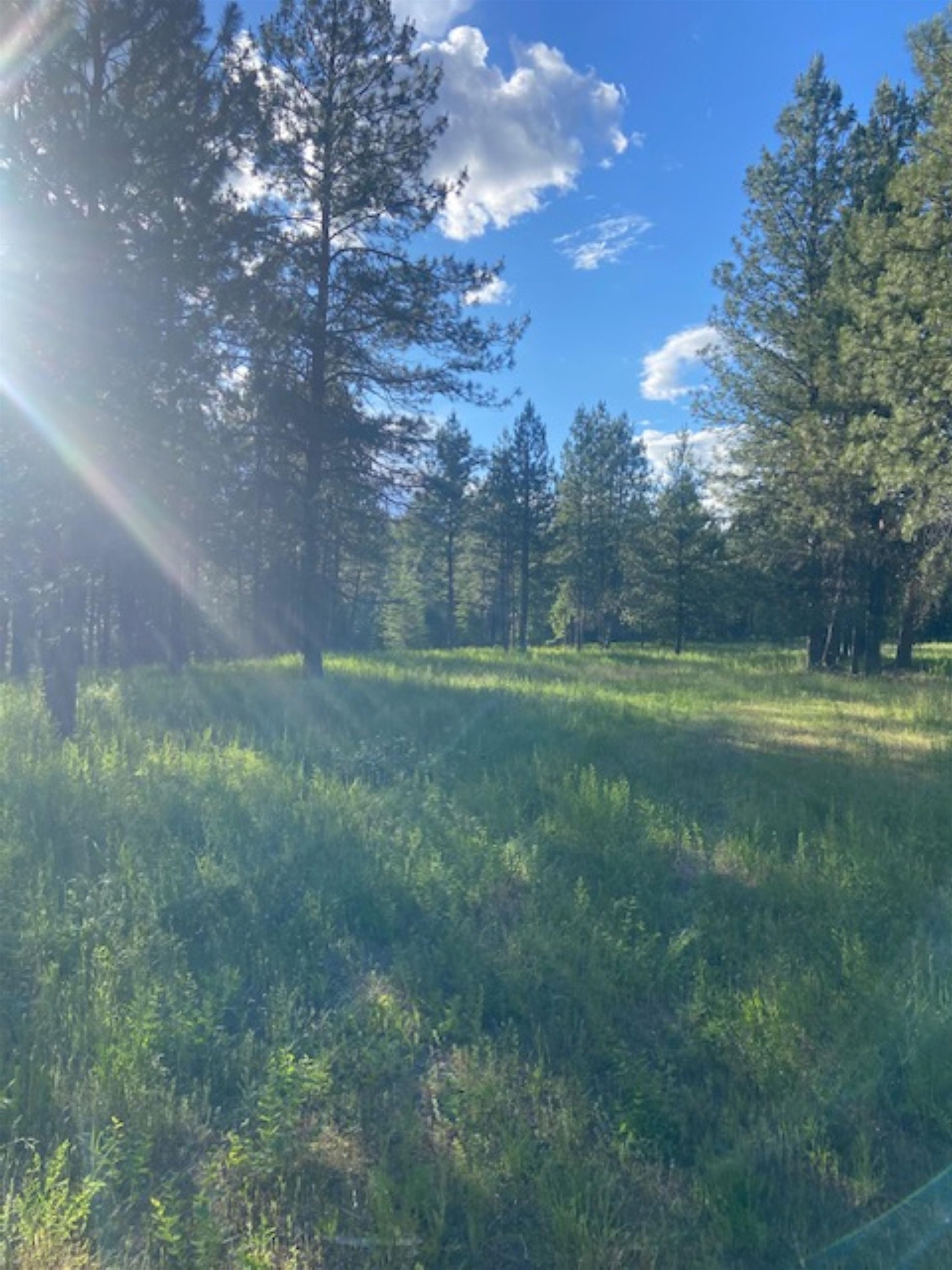 36419 North Findley Road Deer Park, WA 99006 - Photo 12 of 19