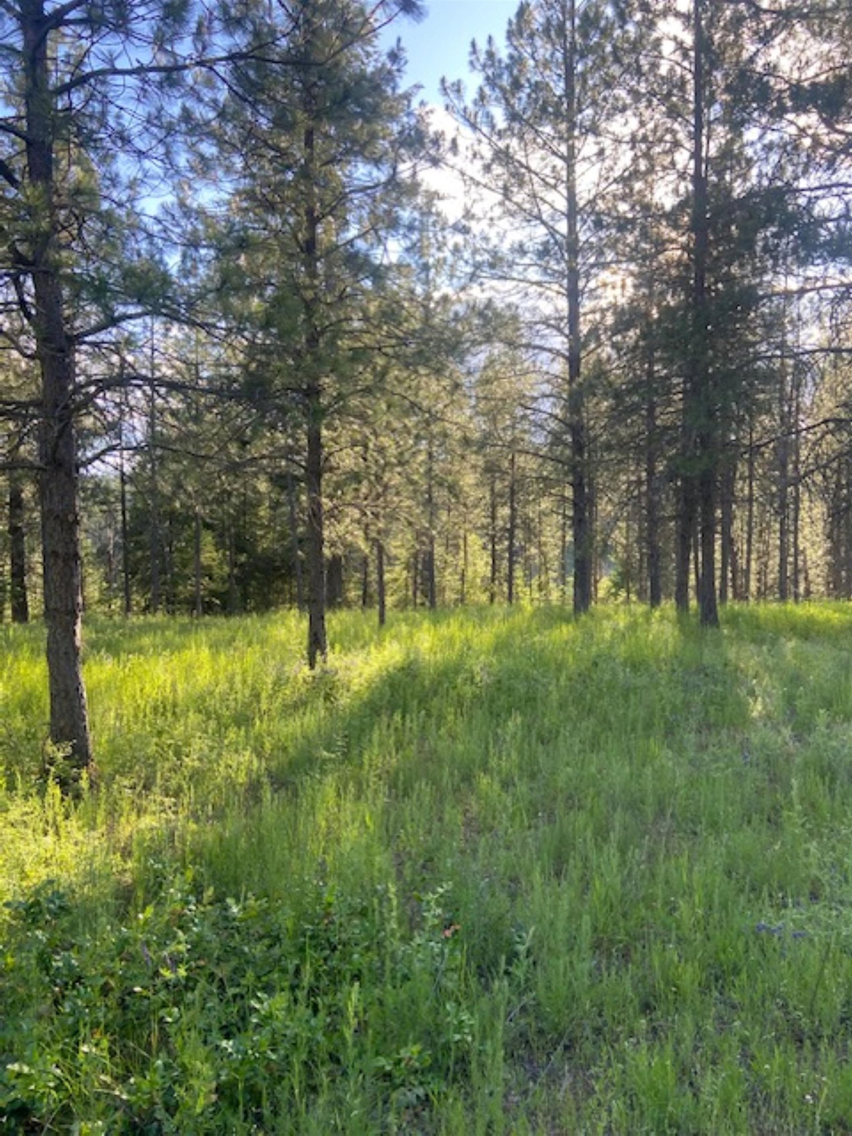 36419 North Findley Road Deer Park, WA 99006 - Photo 13 of 19