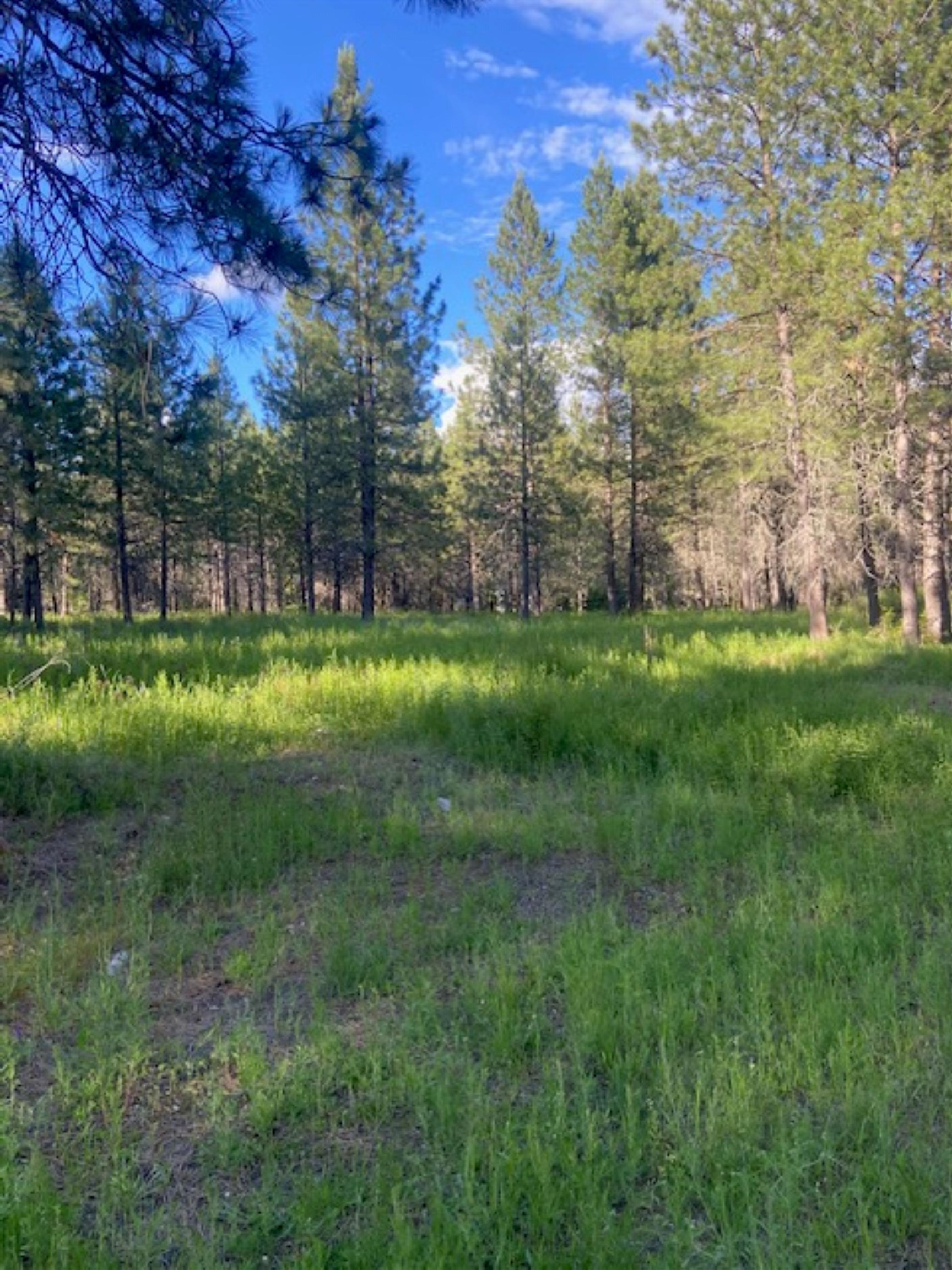 36419 North Findley Road Deer Park, WA 99006 - Photo 15 of 19