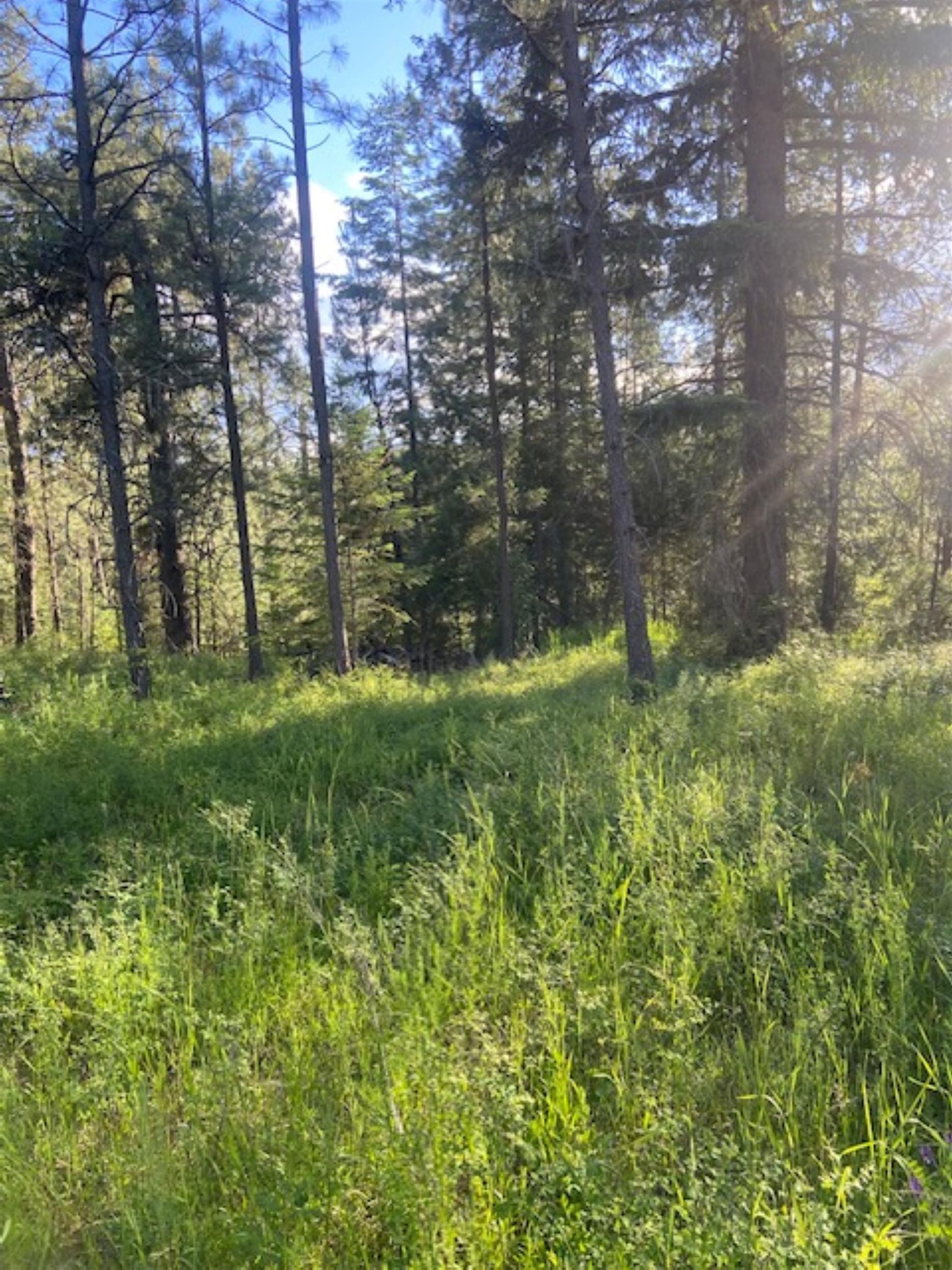 36419 North Findley Road Deer Park, WA 99006 - Photo 18 of 19