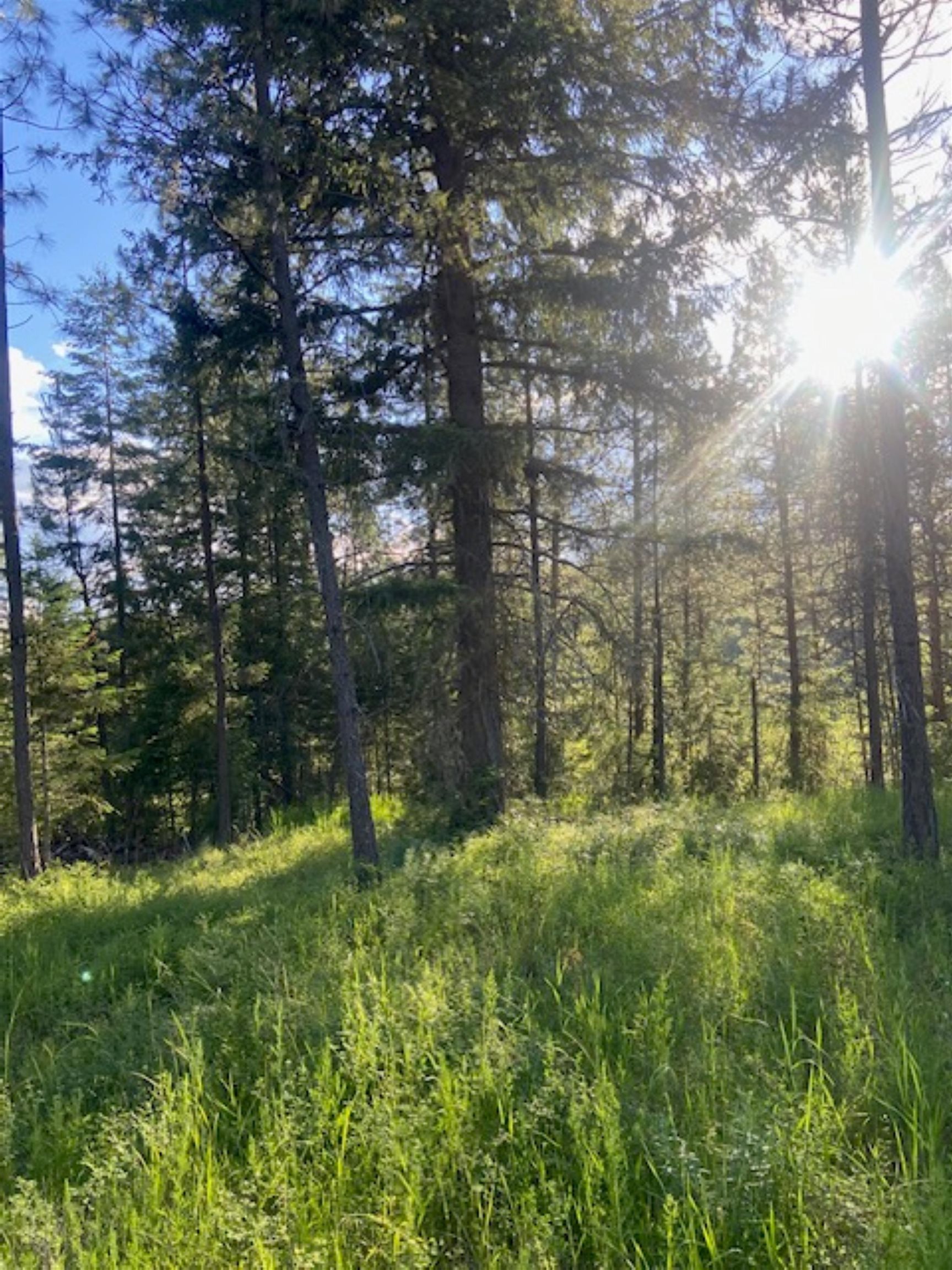 36419 North Findley Road Deer Park, WA 99006 - Photo 19 of 19