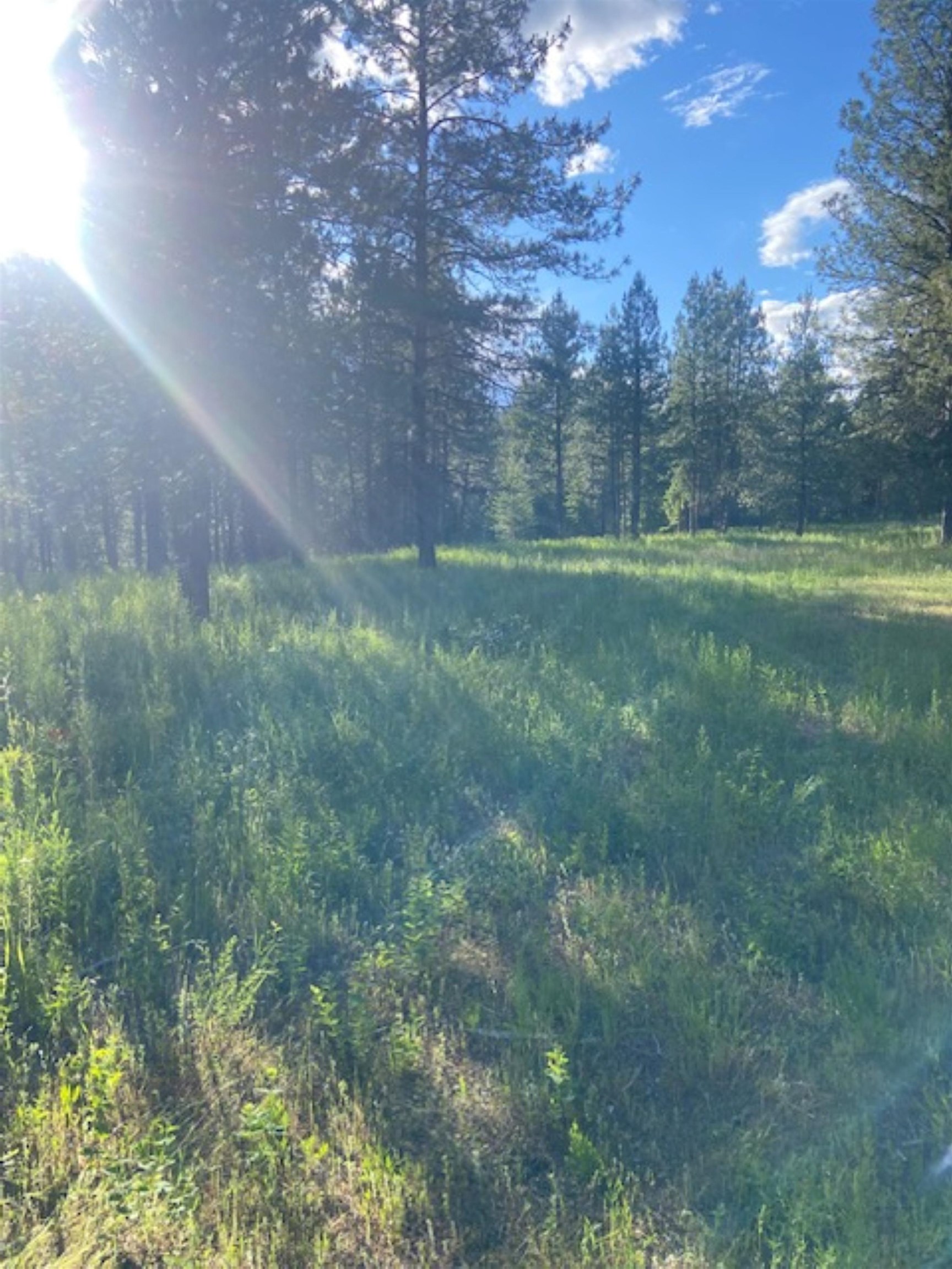 36419 North Findley Road Deer Park, WA 99006 - Photo 10 of 19