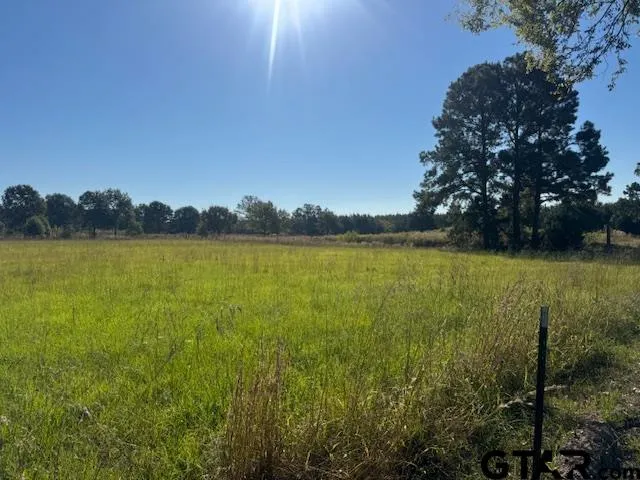 a view of house with backyard and porch