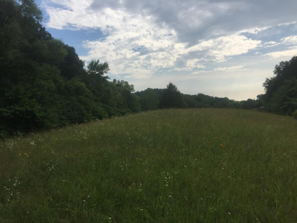 0 Rader Sidetrack Road Mosheim, TN 37818 - Photo 7 of 15 Photo 7