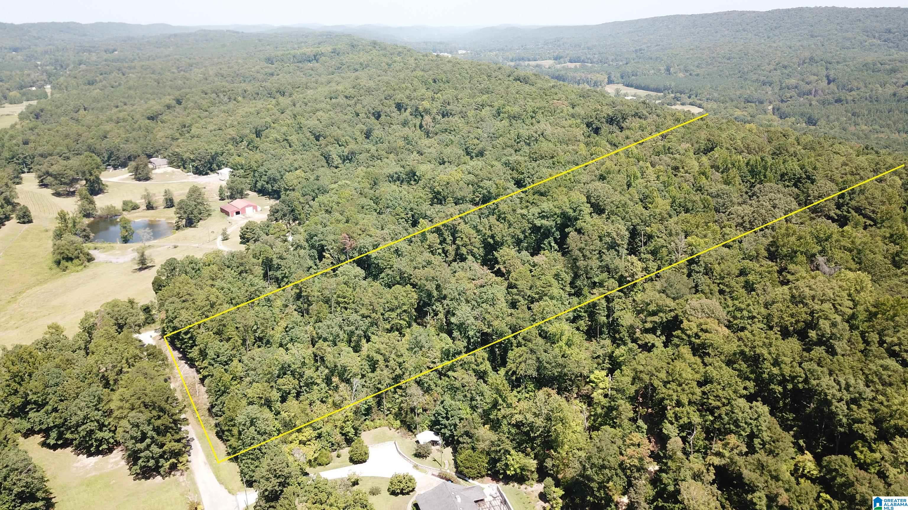 0 Taylor Road, Unit 10 2 Remlap, AL 35133 - Photo 1 of 25
