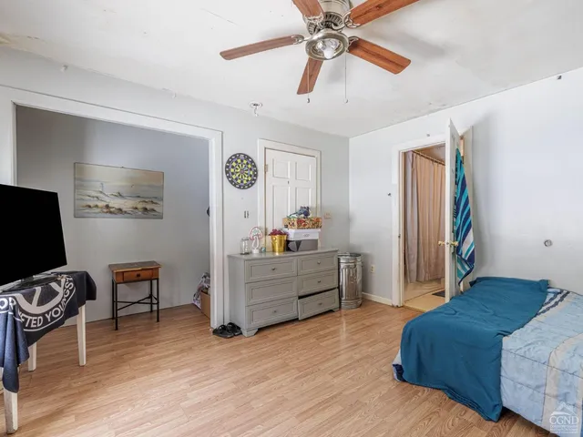 a living room with furniture and potted plant