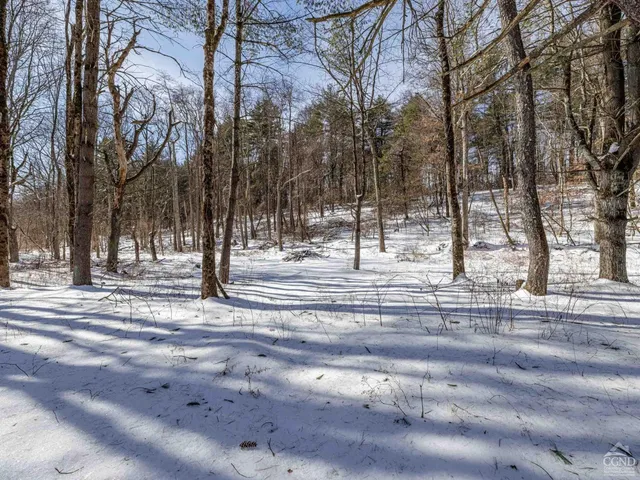 a view of a house with snow on the road