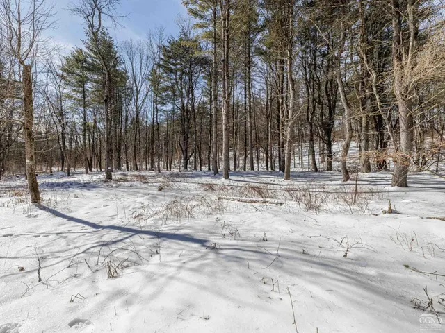 a view of dirt yard with a tree