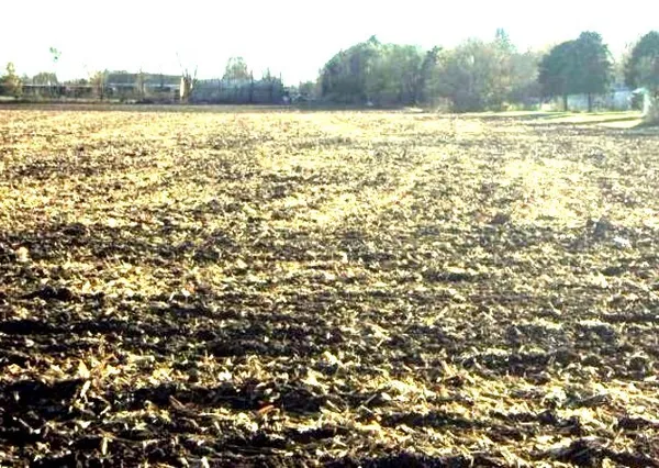 $61,750 | 1644 East Grove Avenue, Rantoul, IL 61866