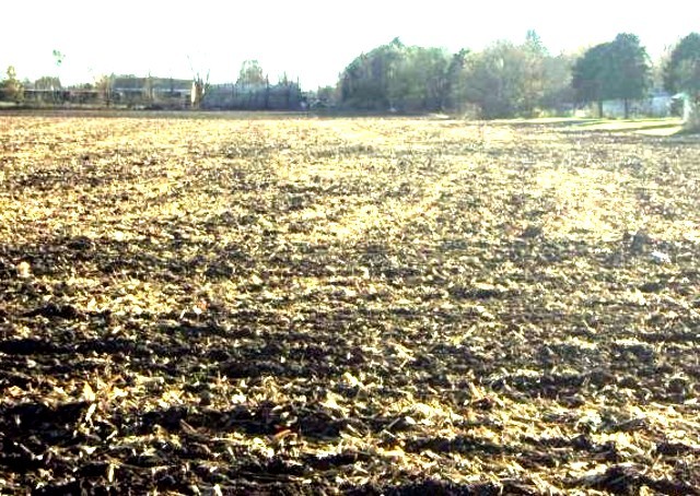 1644 East Grove Avenue Rantoul, IL 61866 - Photo 3 of 3 a view of an ocean