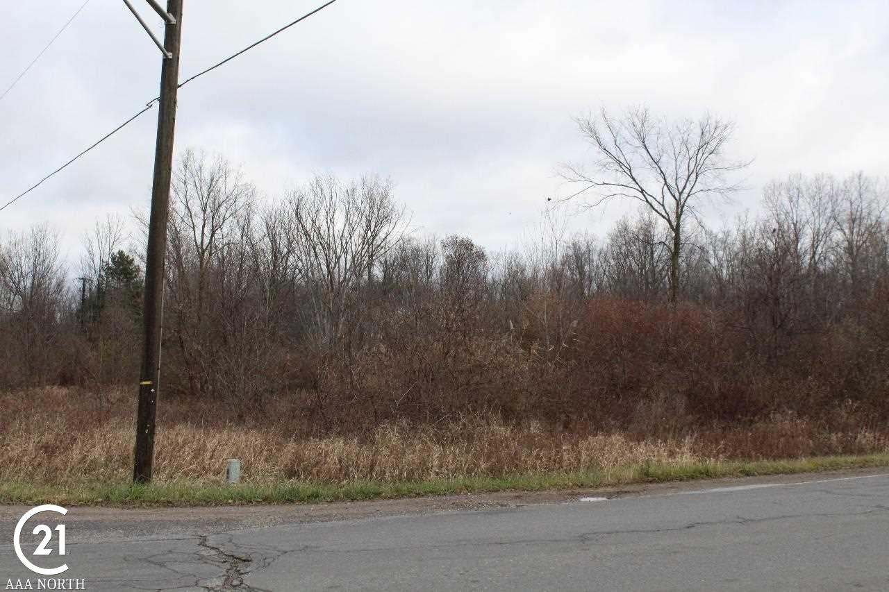 0 South Lake George Road Attica, MI 48412 - Photo 4 of 9