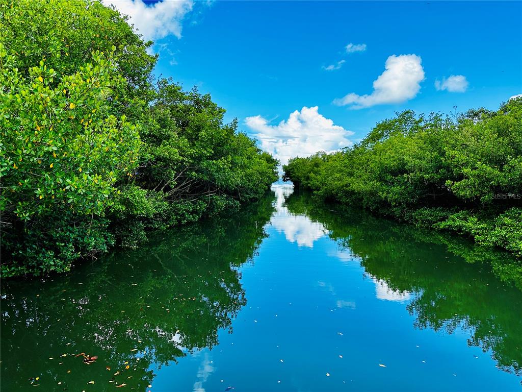 624 Goodrich Avenue Sarasota, FL 34236 - Photo 42 of 45 a view of a lake with a yard