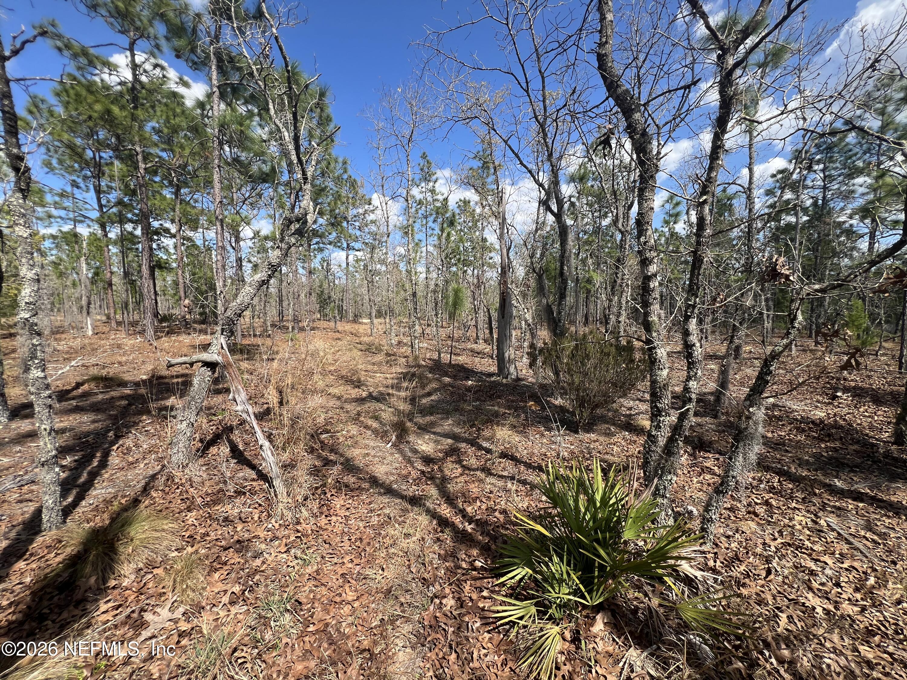 Photo Mar 10 2026, 2 55 36 PM