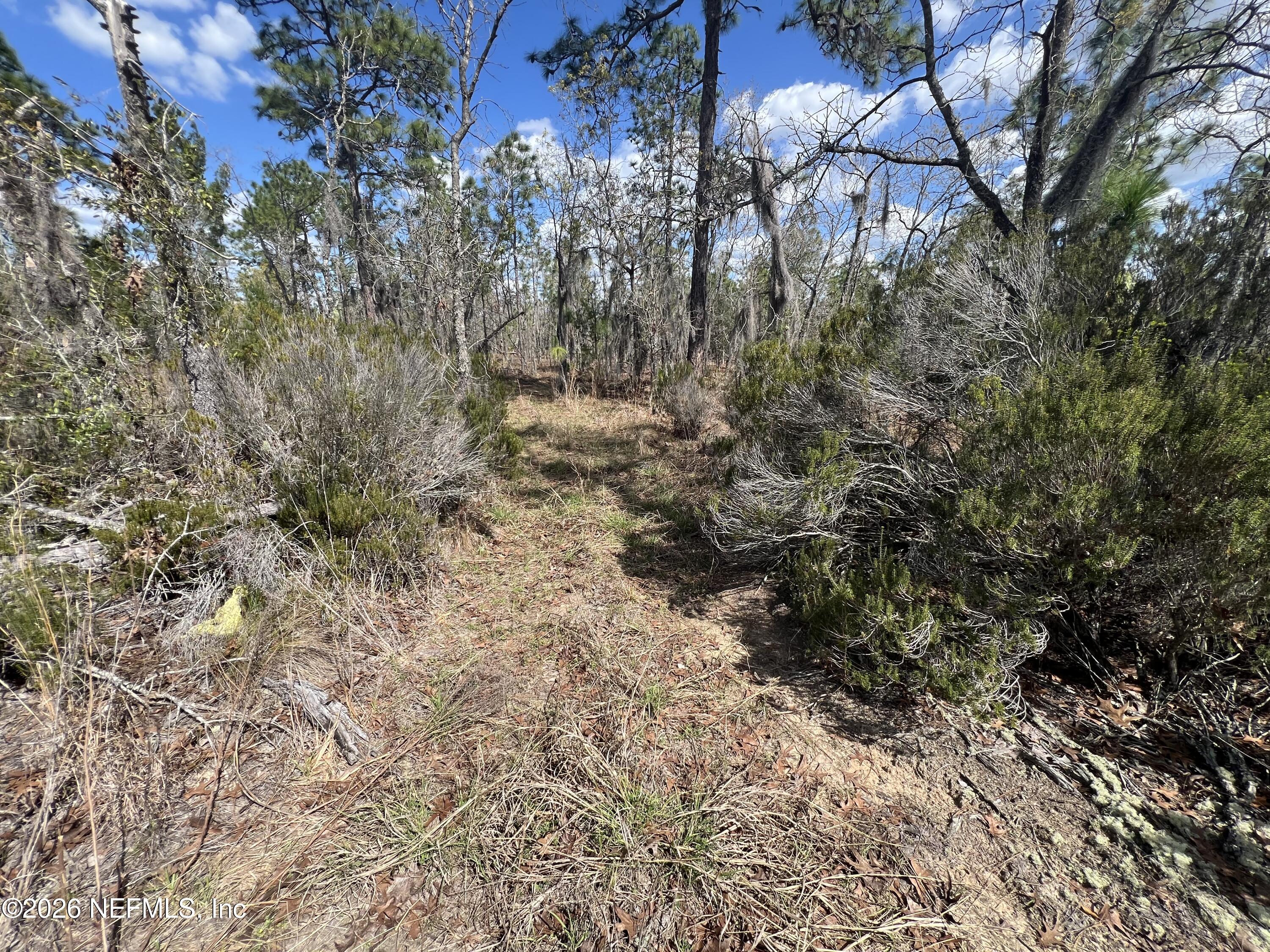 143 Quail Way Hawthorne, FL 32640 - Photo 8 of 8 Photo Mar 10 2026, 2 55 13 PM