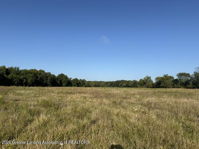 12260 South Wacousta Road Eagle, MI 48822 - Photo 5 of 9 IMG_7380(1)