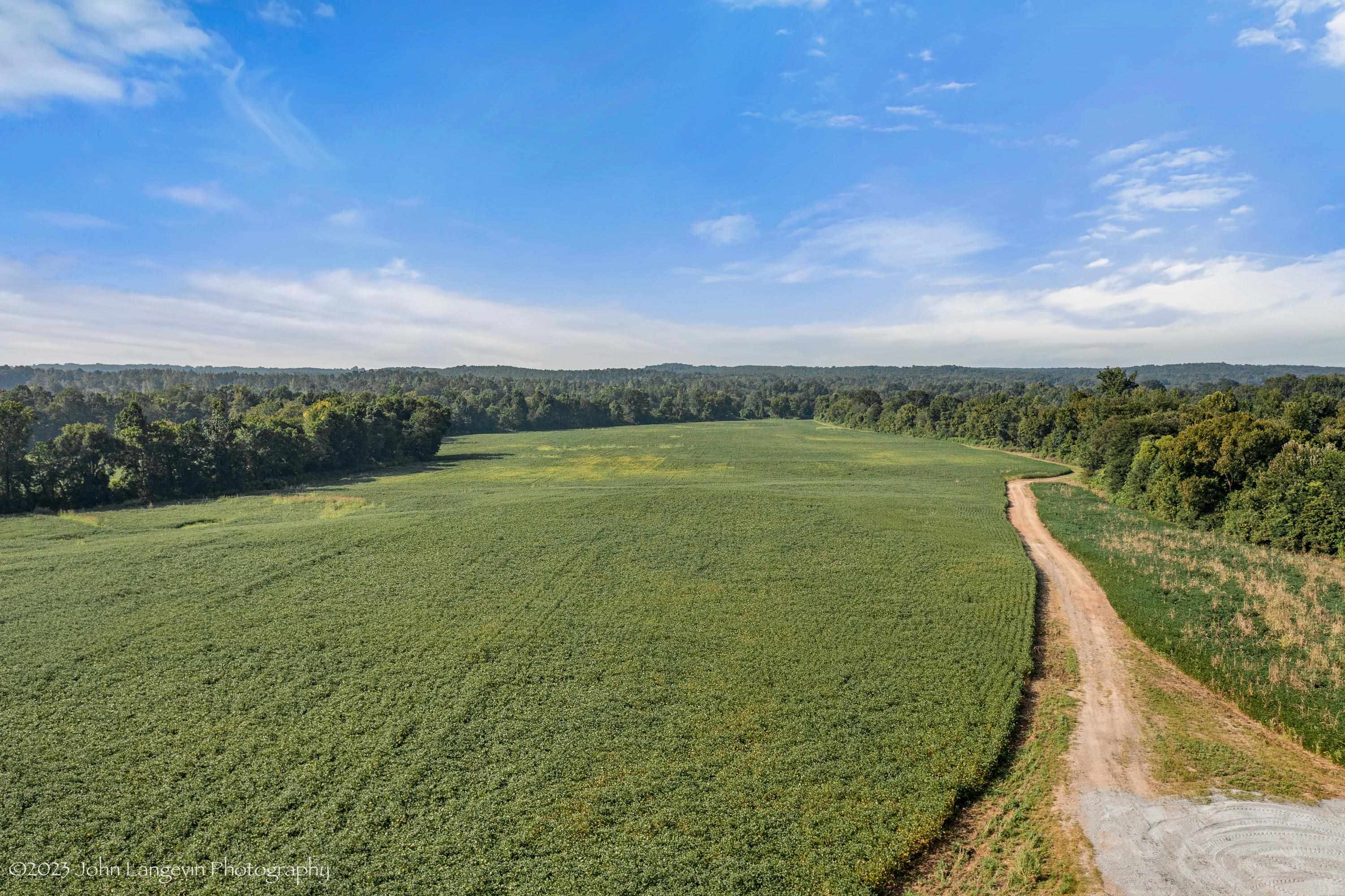 3720 Walnut Grove Road Bolivar, TN 38008 - Photo 8 of 24 a view of a lake with a big yard