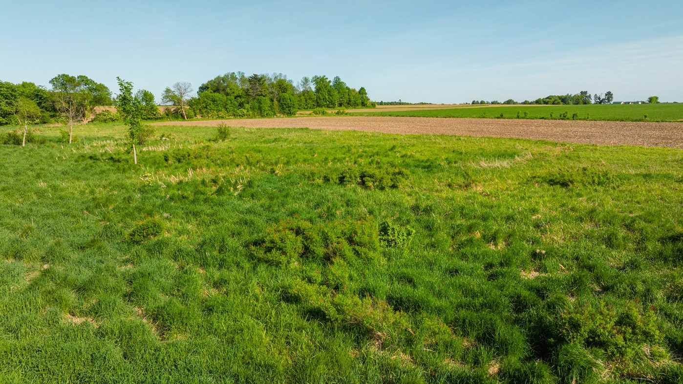 0 Nyes Road Stanley, WI 54768 - Photo 20 of 24