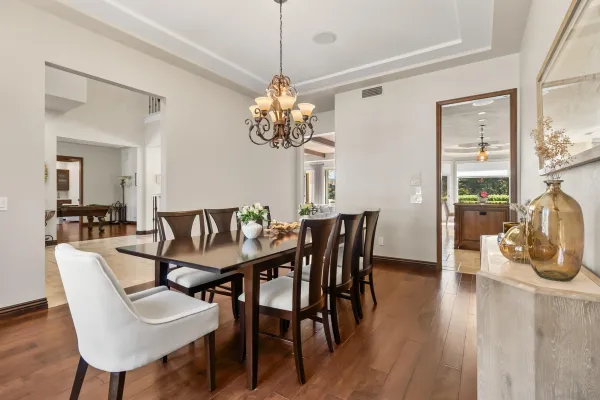 a view of a lush green forest with lots of trees