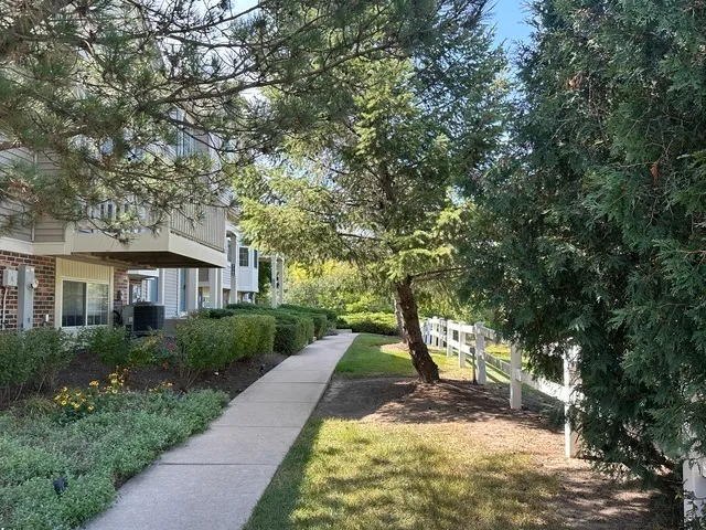 a view of a yard in front of house