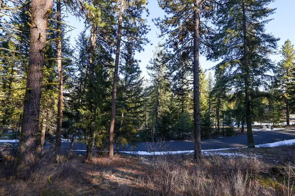 $90,000 | Lot 7 Camas Drive, Unit 7, New Meadows, ID 83654