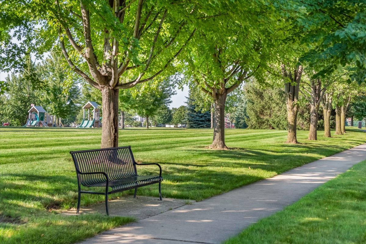 81 Sweetflag Circle Elgin, IL 60124 - Photo 50 of 51 a view of a park with bench and a large tree