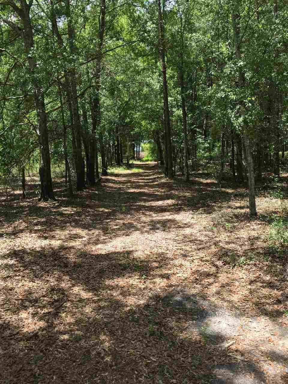 889 Southeast Donaldson Road Lee, FL 32059 - Photo 31 of 33 Gallery Image 31