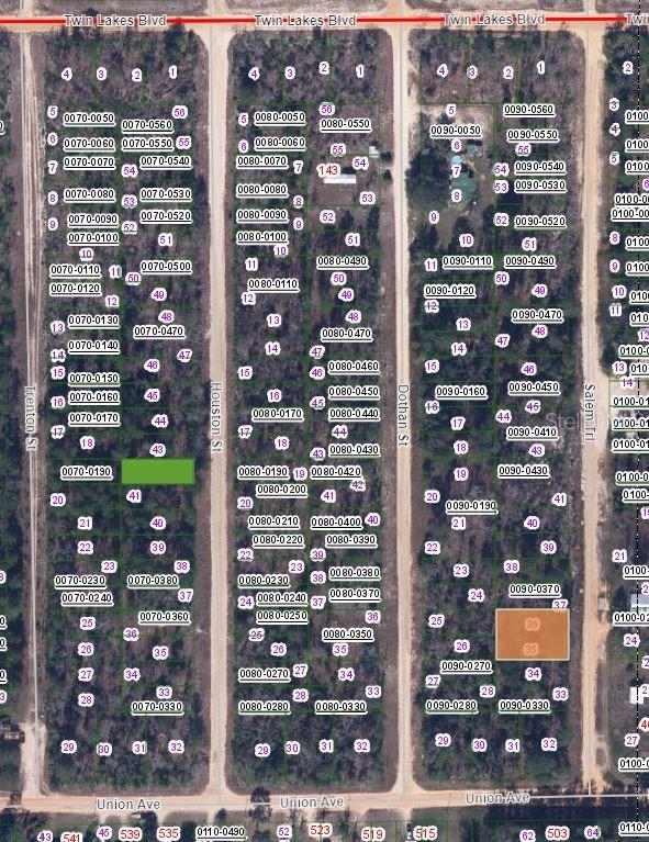 0 Salem Street Interlachen, FL 32148 - Photo 2 of 3 a view of city view