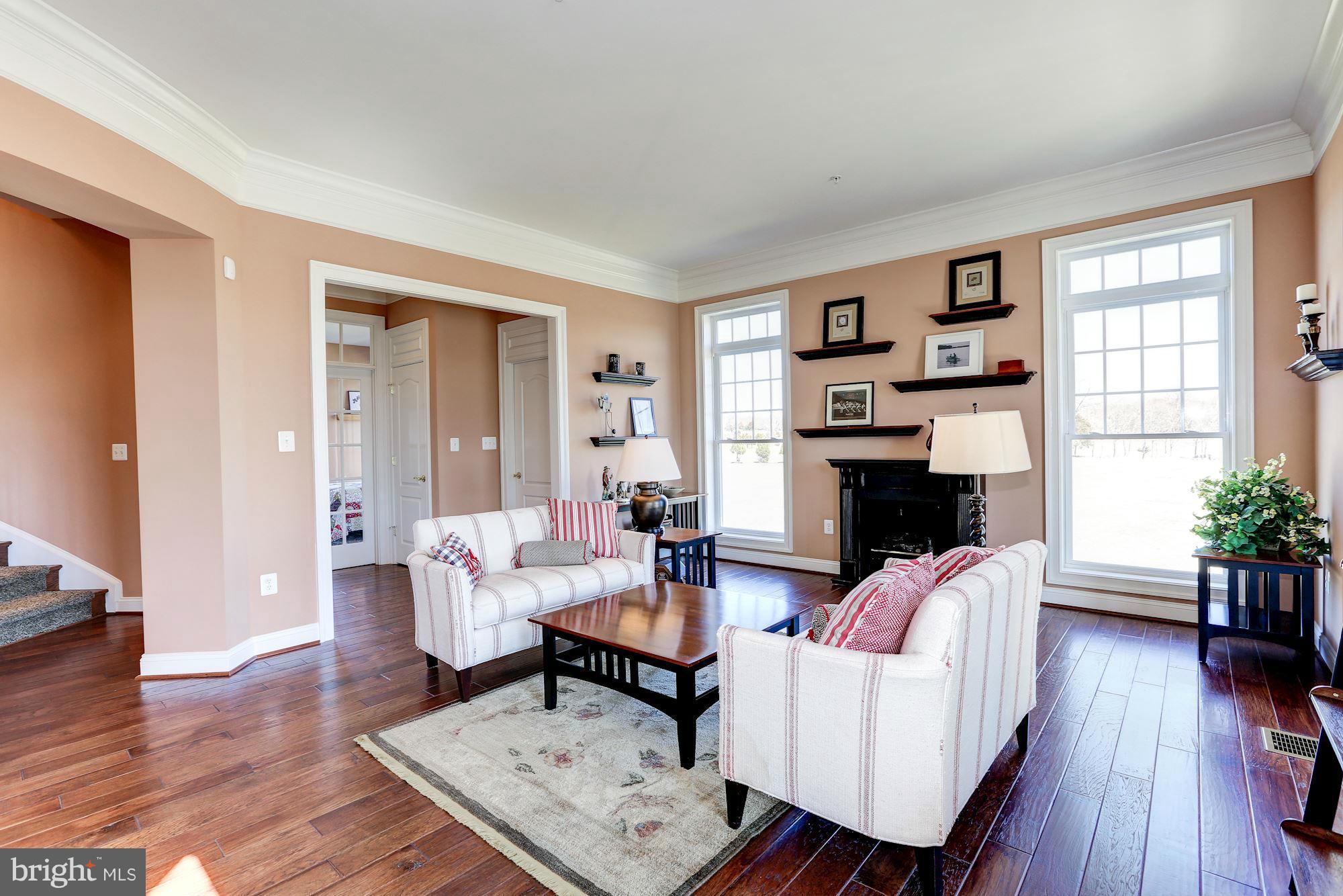 15520 Mount Nebo Road Poolesville, MD 20837 - Photo 7 of 30 a living room with furniture a fireplace and a potted plant