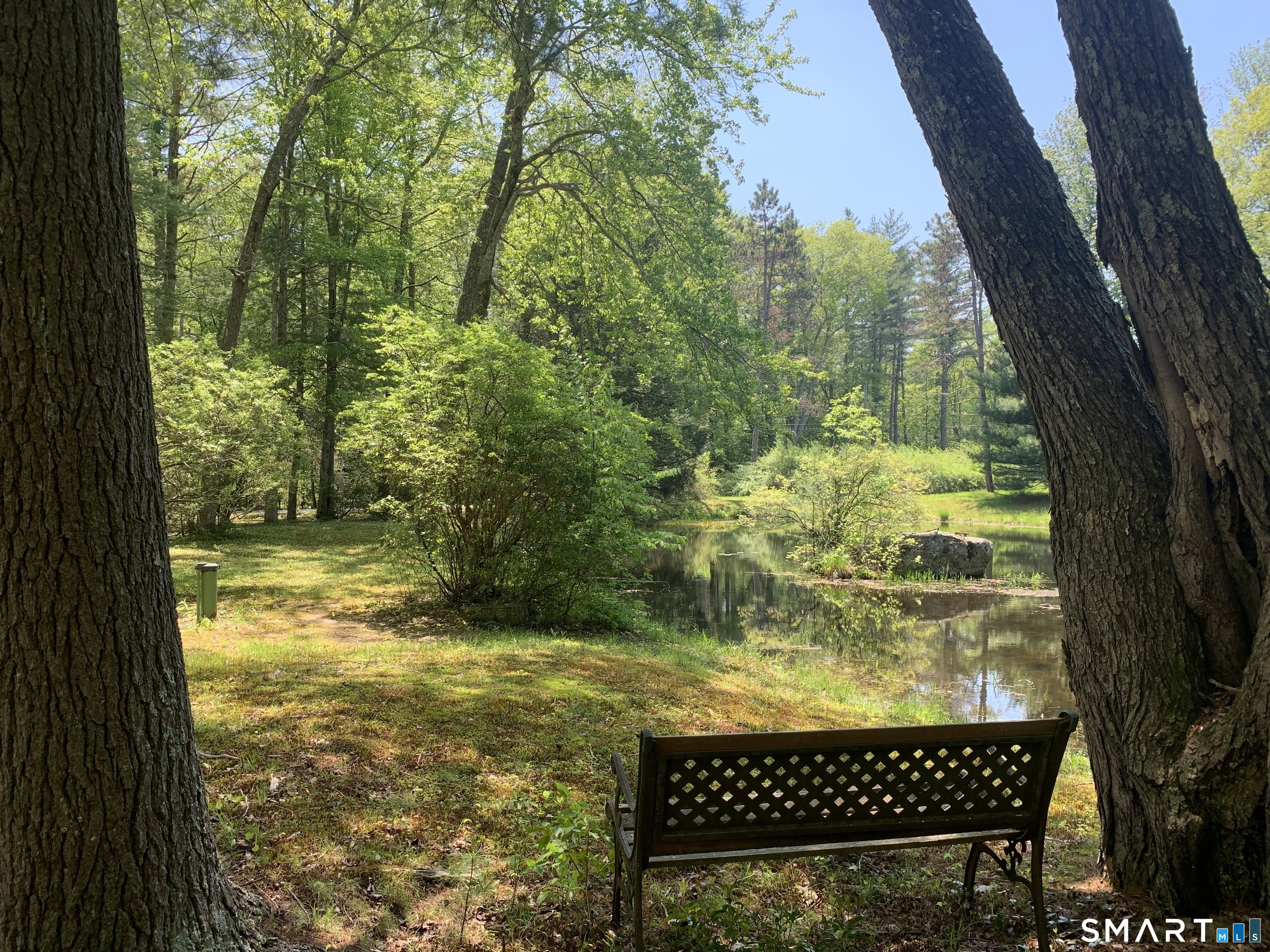 46 Mashapaug Road Union, CT 06076 - Photo 6 of 26 Side Yard