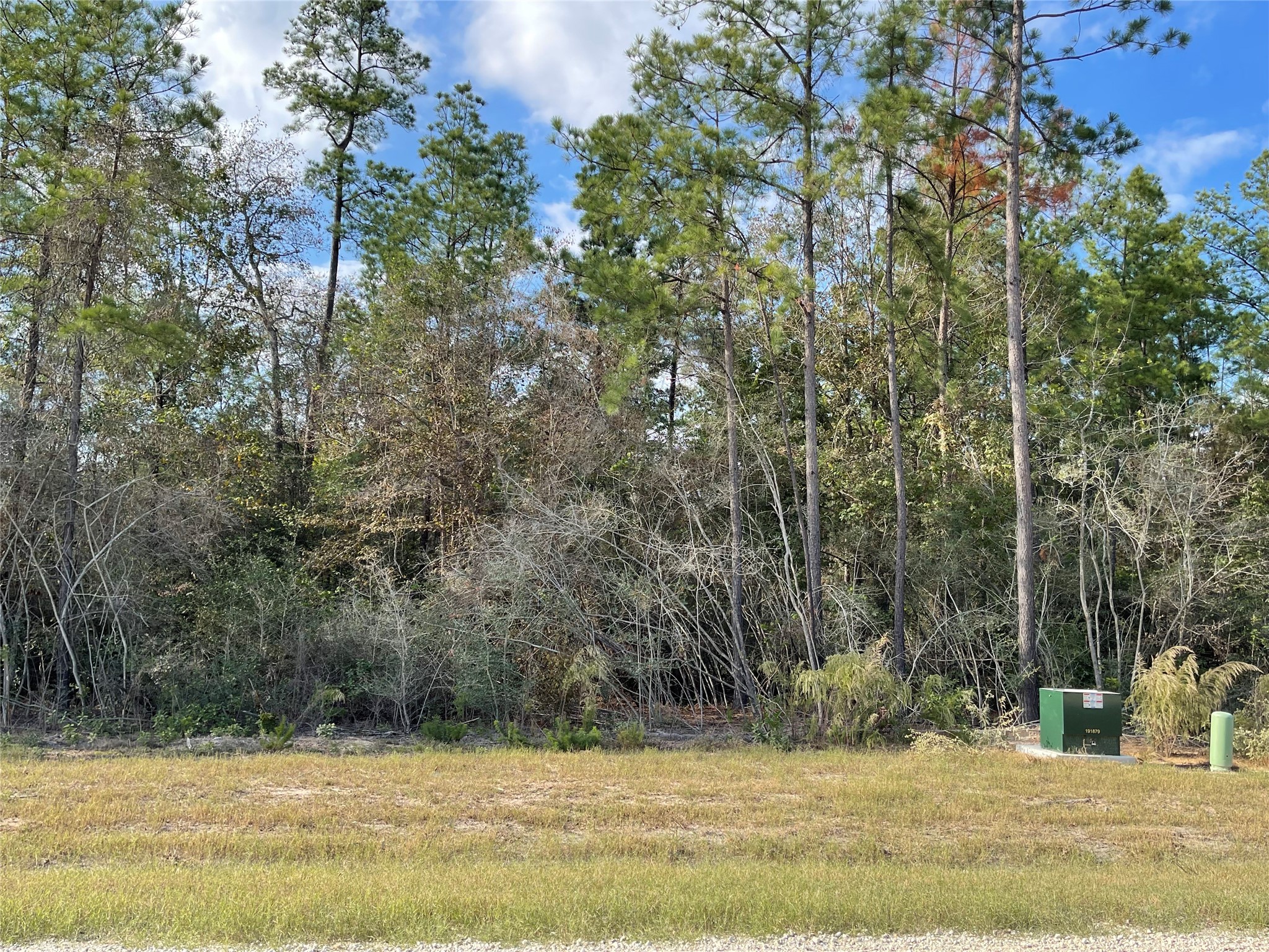 11756 Grand N Road Willis, TX 77378 - Photo 6 of 18 a view of a yard with a trees