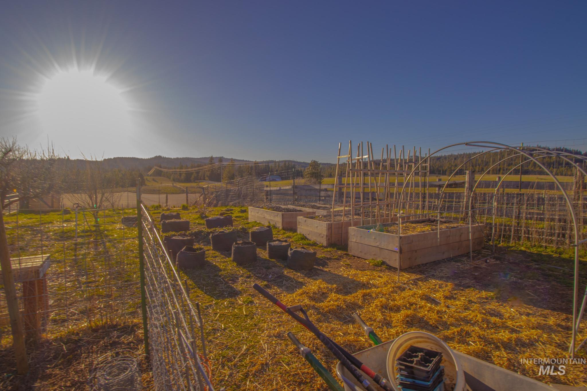 5404 Freeman Creek Road Lenore, ID 83541 - Photo 45 of 50 View of yard featuring a garden