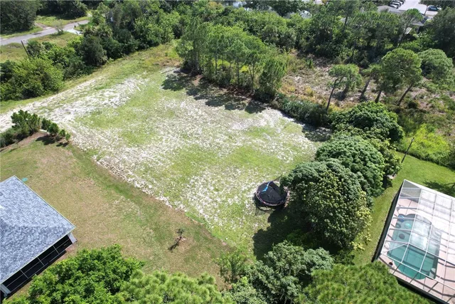 a view of a garden with plants
