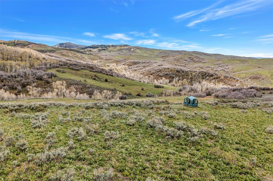 80 County Road 80 Steamboat Springs, CO 80487 - Photo 20 of 43 a view of a field with an ocean