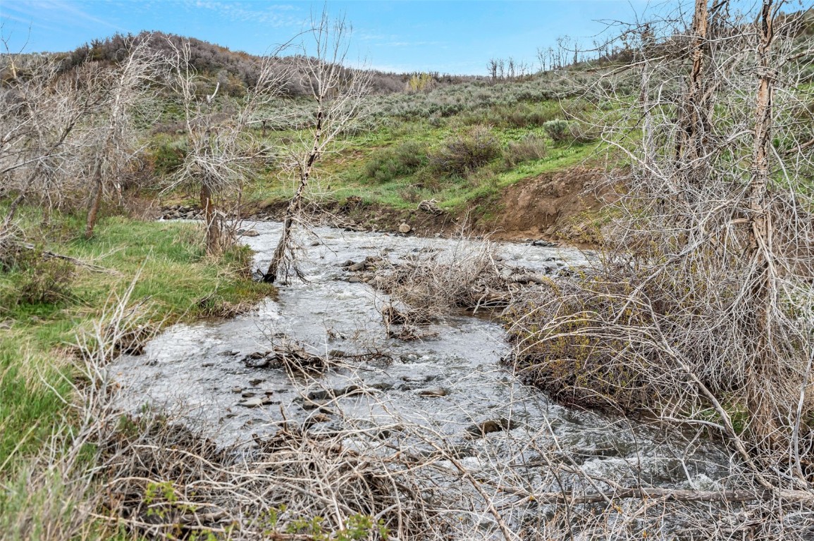 80 County Road 80 Steamboat Springs, CO 80487 - Photo 2 of 43 a view of a yard with a mountain
