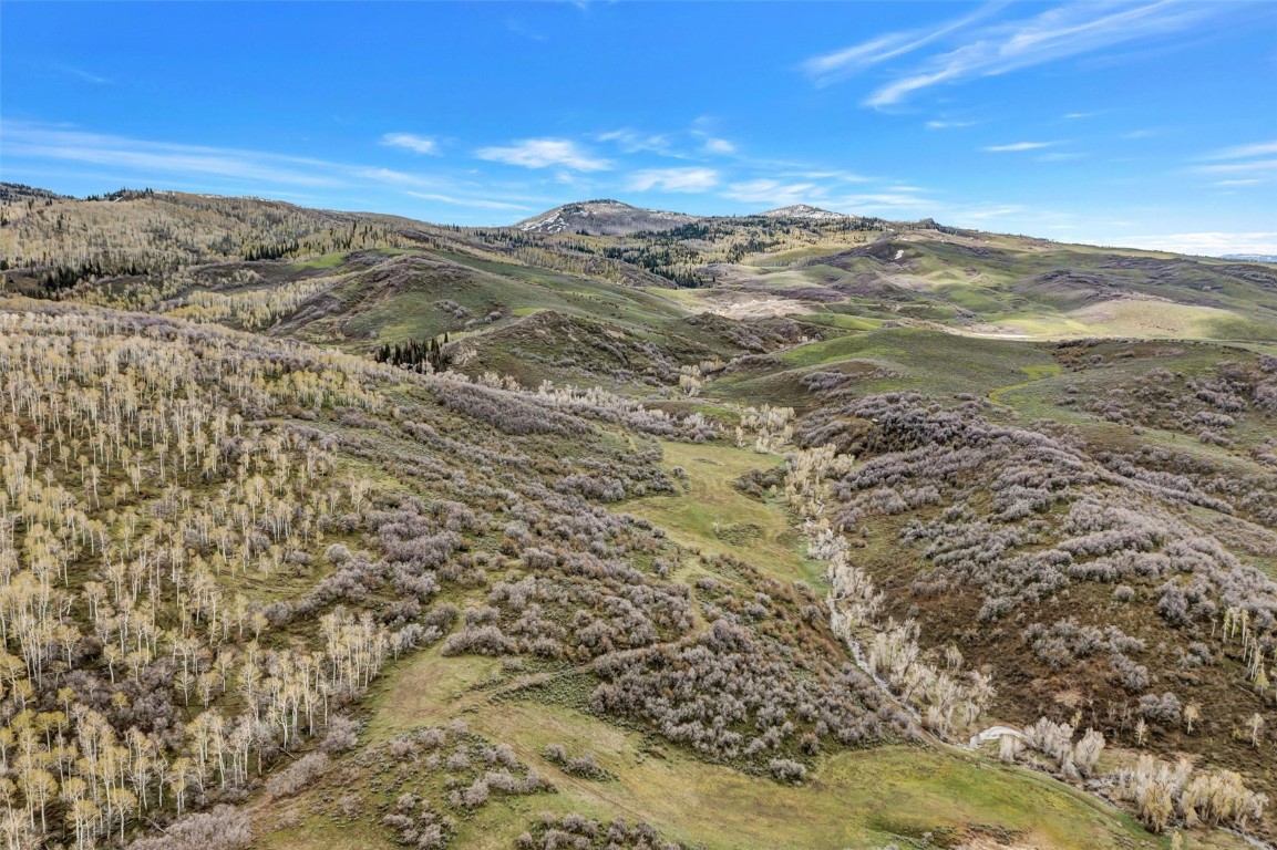 80 County Road 80 Steamboat Springs, CO 80487 - Photo 22 of 43 a view of a field with mountains in the background