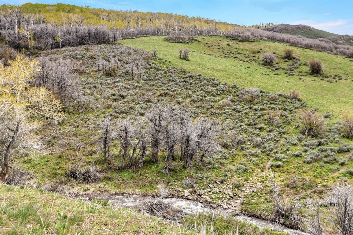 80 County Road 80 Steamboat Springs, CO 80487 - Photo 3 of 43 a view of a lush green field