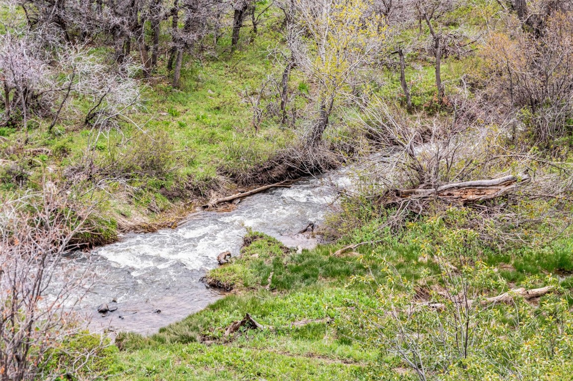 80 County Road 80 Steamboat Springs, CO 80487 - Photo 4 of 43 a backyard of a house with lots of green space