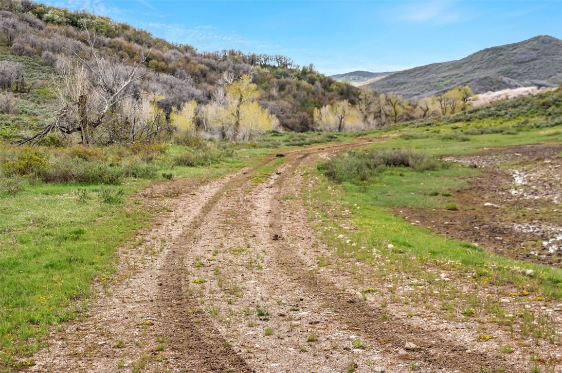 80 County Road 80 Steamboat Springs, CO 80487 - Photo 6 of 43 a view of a dry yard with mountains in the background