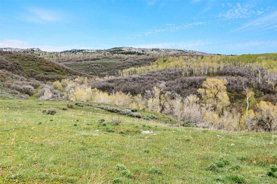80 County Road 80 Steamboat Springs, CO 80487 - Photo 7 of 43 a view of lake and mountain