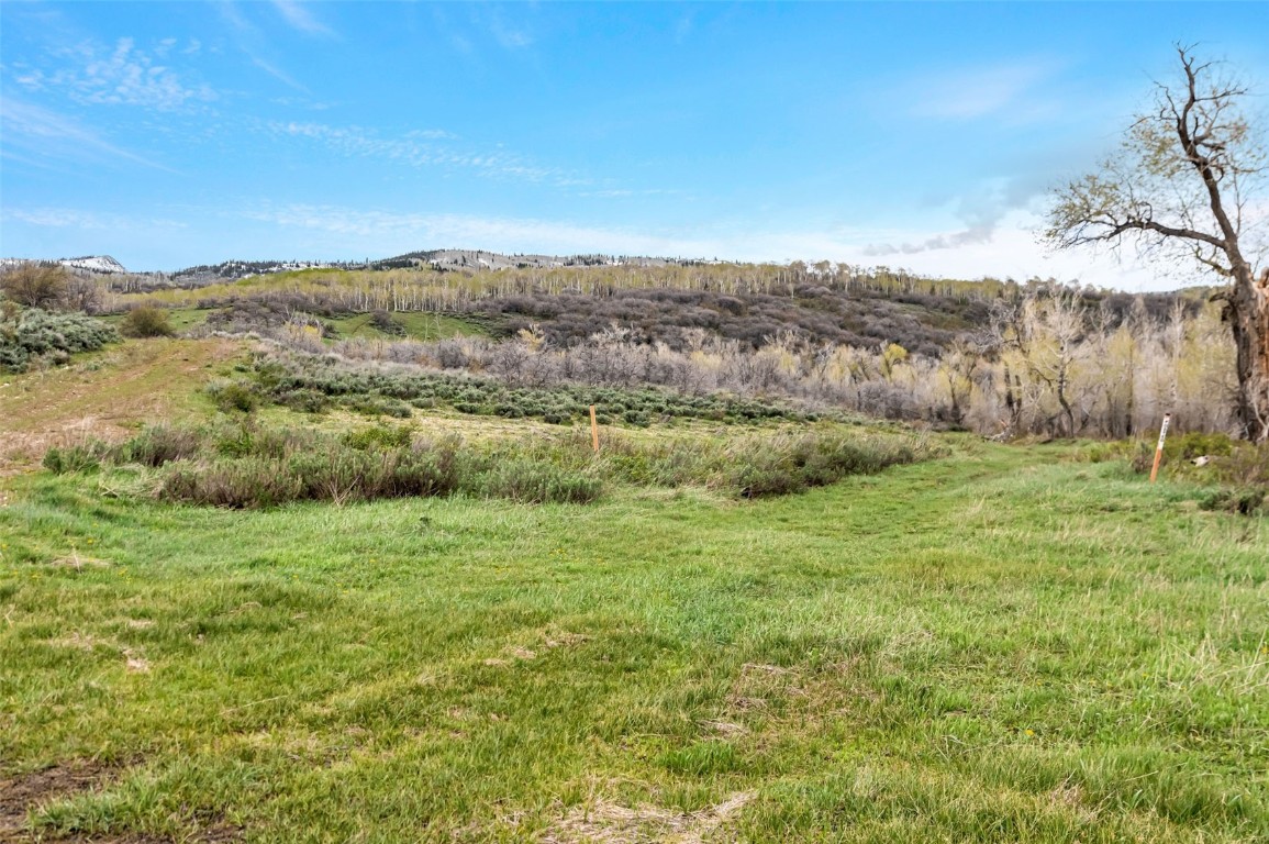 80 County Road 80 Steamboat Springs, CO 80487 - Photo 9 of 43 a view of an outdoor space with trees all around
