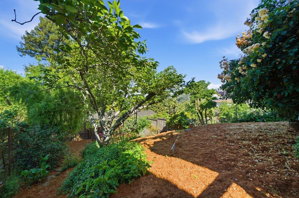 960 Keeler Avenue Berkeley, CA 94708 - Photo 41 of 47
