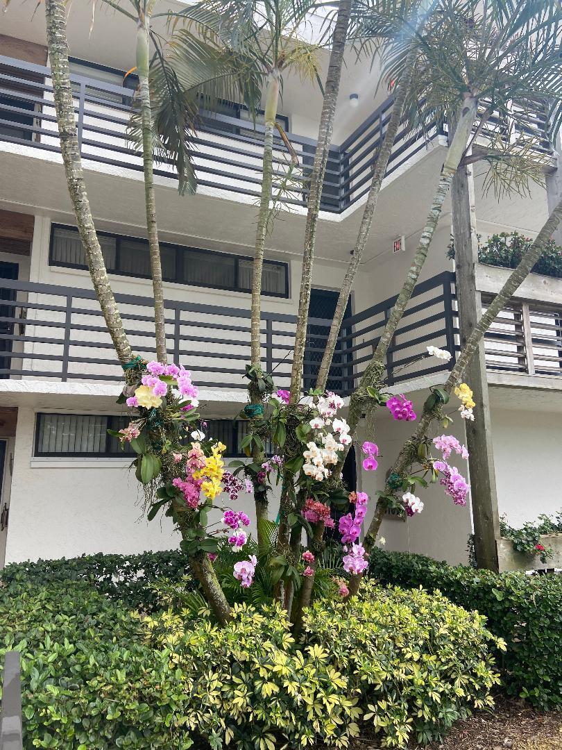 1950 Southwest Palm City Road, Unit 6305 Stuart, FL 34994 - Photo 1 of 18 CIRCLE BAY YACHT CLUB (GRENADA)