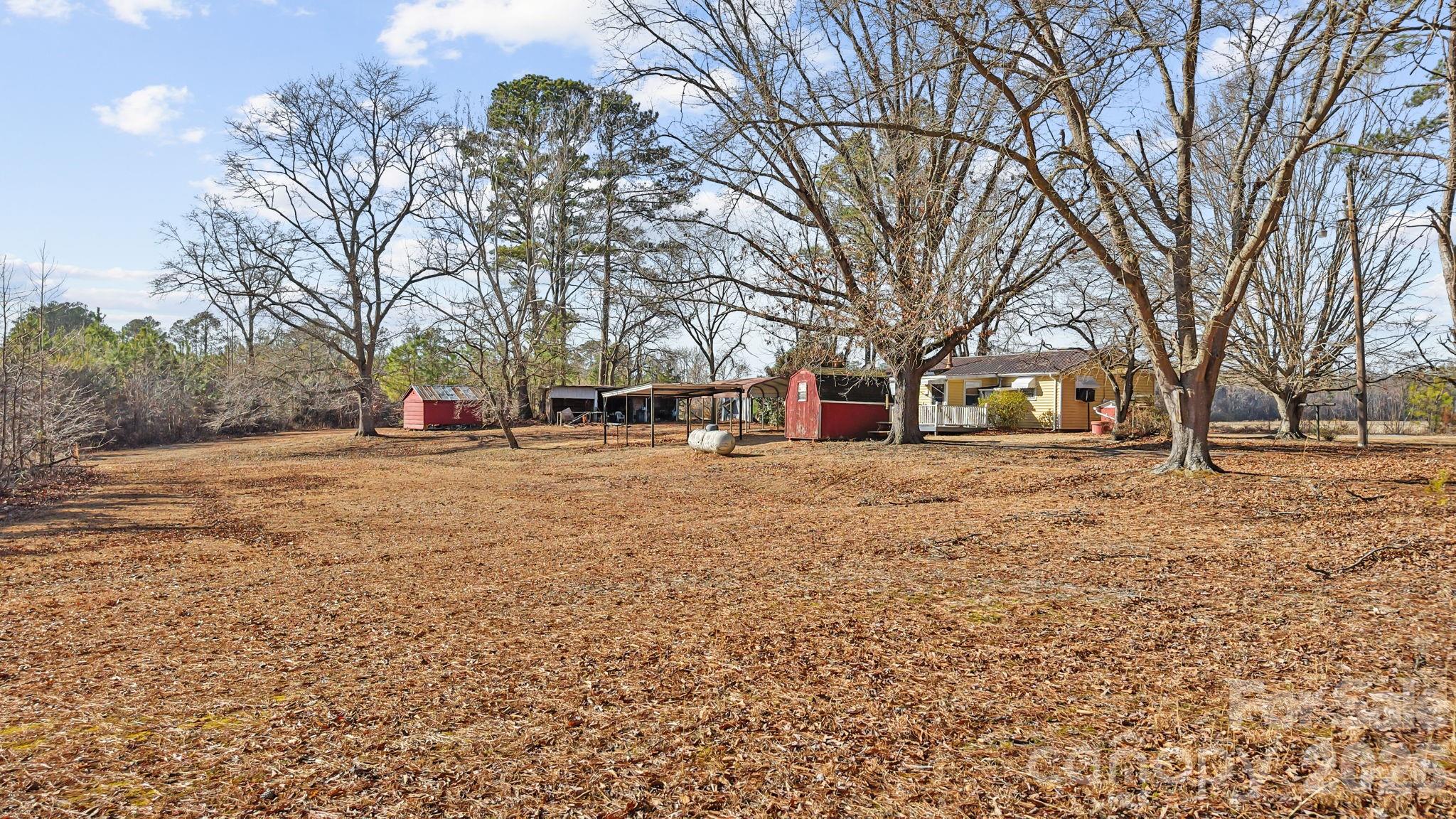 407 Conwell Road Pleasant Hill, NC 27866 - Photo 29 of 31 a view of road with covered with snow
